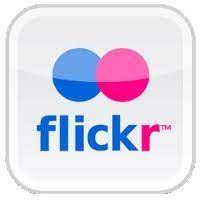 Try the latest version of chrome, firefox, edge or safari. Flicker Logo Softloom It Solutions