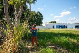Sua população estimada em 2020 era de 162 438 habitantes, sendo a maior cidade da sua região geográfica imediata e a nona maior do estado da bahia. Prefeitura De Teixeira De Freitas Bahia