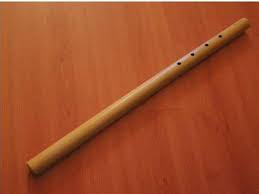 Dipercaya, bahan pembuatan saluang adalah jenis yang paling bagus untuk dibuat saluang yang berasal dari talang untuk alat musik tradisional yang terbuat dari tanduk kerbau dan mempunyai suara merdu. 9 Alat Musik Tradisional Padang Lengkap