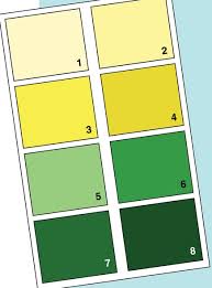 Colour Recognition Of Bile Vomiting In The Newborn