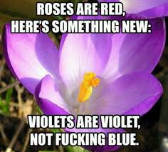 Thank You Roses Are Red Here S Something New Violets Are Violet Not F Ing Blue Morsomme Bilder Bilder Meme
