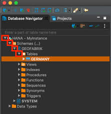 Good Things Come Together Dbeaver Sap Hana Spatial Beer In 2020 Hana Sap Spatial