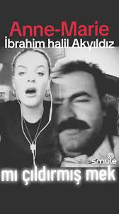 Anne-Marie and Ibrahim Halil Akyildiz: A Musical Collaboration