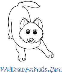 Download and use 300+ wolf stock photos for free. How To Draw A Cartoon Wolf Pup