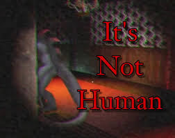 images?q=tbn:ANd9GcQXX7EJk0_izsgWhD72bFI
