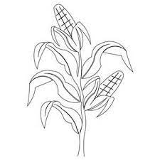 I've been serving this lovely creamed side dish for many years. Corn Stalk Drawing Bing Images Drawings Corn Drawing Crows Drawing