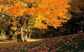 Fall Scene Wallpapers Images Autumn Landscape Fall Background Scenery Wallpaper