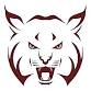 Beaver Area Bobcats vs Avonworth Antelopes event in Allison Park, PA