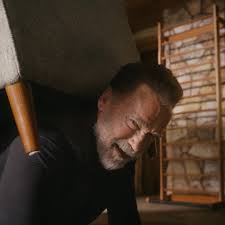 Arnold Schwarzenegger