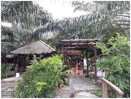 Klang, telok gong commercial land from 77929 sf. Review Coconut Flower Restaurant Teluk Gong Port Klang Eris Goes To