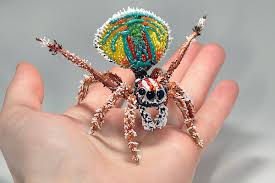 3 shot handheld focus stack. Peacock Spider Greeting Card For Sale By Tomasz Litwin