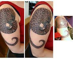 The new tattoo app from copenhagen startup tattoodo is a digital lifestyle hub that hosts not just community and content, but a marketplace as well, not unlike social media platform pinterest. Black Bellied Pangolin Done By Red At Platform 13 Tattoo Studio Saltburn By The Sea Left Middle Fresh Right Healed Tattoos
