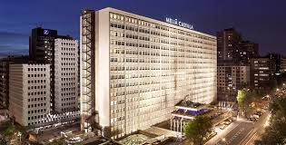 Image result for Melia