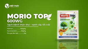 Morio top 600WG