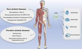 Image result for Blue 1999 AAV