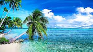 Beautiful, free images gifted by the world's most generous community of photographers. Free Live Wallpapers For Pc Hd 1024 576 3d Live Wallpapers For Desktop 44 Wallpapers Ado Hd Nature Wallpapers Beautiful Wallpapers Backgrounds Wallpaper Pc