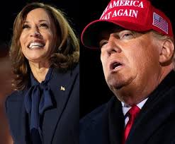 robin pratt (@lakeswalker)