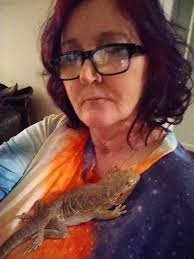 Is a 20-gallon tank suitable for a bearded dragon?