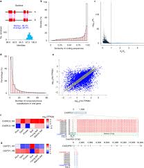 This unforgettable tale as told through edward's eyes takes on a new and decidedly dark twist. Haplotype Resolved Genome Assembly Provides Insights Into Evolutionary History Of The Tea Plant Camellia Sinensis Nature Genetics