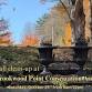 Brookwood Garden Annual Clean-Up — Otsego Land Trust event image