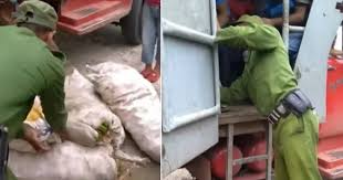 Militares decomisan alimentos a ciudadanos en Santiago de Cuba