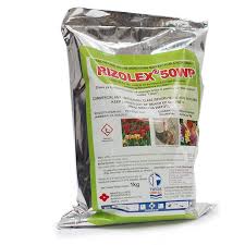 It was owned by several entities bloemfontein has a decent google pagerank and bad results in terms of yandex topical citation index. Chemicals Za Bloemfontein Mail Bloemfontein Golf Club In Bloemfontein Mangaung South Africa Golf Advisor Buy Vitamin C