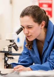 A Guide to Your Courses