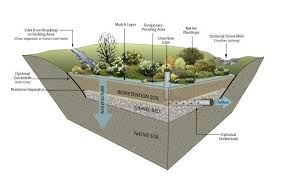 Landscape Trends Of 2016 Rain Garden Design Rain Garden Landscape Design