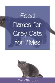 Pin On Lovely Pets