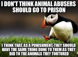 The Best Of Unpopular Opinion Puffin Unpopular Opinion Puffin Animals Unpopular Opinion