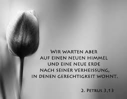 Bibelverse Zitate Begleittexte Trauer