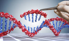Genetic modification is a powerful tool: Genetic Modification Gmo News Articles And Whitepapers New Food Magazine