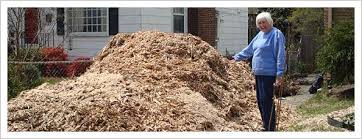 Free Wood Chips Call Local Tree Service Companies They Will Often Give Away The Wood Chips They Create And Sometimes Wi Wood Chips Tree Service Chapel Hill