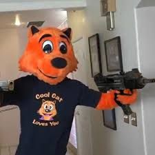 And that unlike smoking, vaping is perceived as something new and cool. Cool Cat Vapes With The Kids By Nobodies Hero