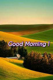 Beautiful Good Morning Good Morning Nature Good Morning Images Good Morning