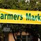Festival Park Starlight Market