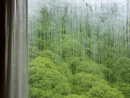 Maybe you would like to learn more about one of these? Fogged Windows Vancouver Glass Co Vancouver Wa