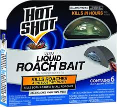 How do you use roach traps? The 7 Best Roach Traps Of 2021