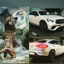Mercedes And Tiger Monster Trucks Top Cars Car Photos