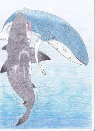 Bbc the paleoart piece you see here is a replication of that phenomena: Megaselachus Megalodon By Dontknowwhattodraw94 On Deviantart Monster Shark Megalodon Giant Monsters