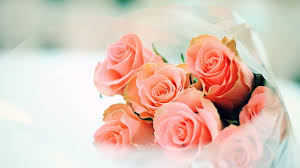 Use them in commercial designs under lifetime, perpetual & worldwide rights. Peach Roses Flower Hd Wallpaper 1920 1080 26281 Naima Florist Online Flowers Shop
