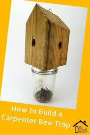 How To Build A Carpenter Bee Trap Bee Traps Carpenter Bee Trap Carpenter Bee