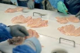 To add some variety, you can make spicy chicken nuggets. Mcdonalds Says Infamous Pink Goop Picture Has Nothing To Do With Their Chicken Mcnuggets Weird News Express Co Uk