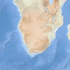 Image result for Doellia