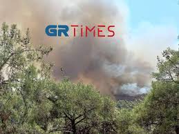 Κατέβασε τώρα και ζήσε τη μοναδική εμπειρία της άμεσης αθλητικής ενημέρωσης στο κινητό σου. Z Puae9wogvn9m