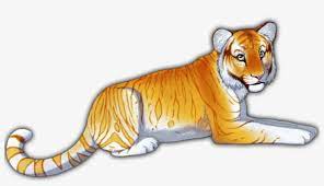 Like the white tiger, it is a colour form and not a separate species. Golden Tabby Tiger By Narmicreator On Deviantart Vector Golden Tabby Tiger Drawing Png Image Transparent Png Free Download On Seekpng