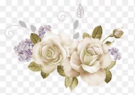White roses portray innocence and purity. White Rose Png Images Pngegg