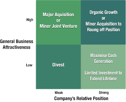 Which of the following business plans matches with its appropriate emphasis? Chapter 4 Strategy And Strategic Planning Strategic Marketing In The Global Forest Industries