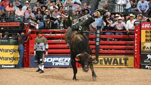 Ω texas senate bill 2505 requires a minor (under the age of 18) to wear a bull riding helmet and a protective vest while participating in bull riding. Professional Bull Riders America S Fast Growing Extreme Sport The Week Uk