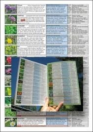Herb And Medicinal Plants Growing Guide Chart The Micro